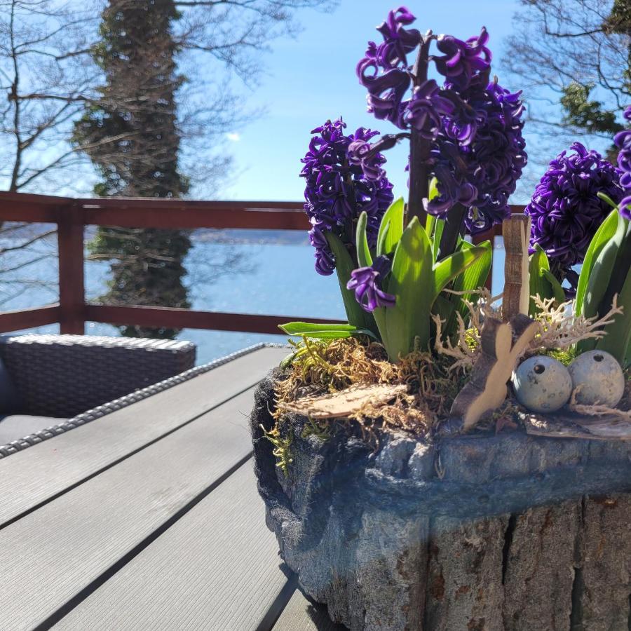 Domek Lubkowo Z Widokiem Buitenkant foto